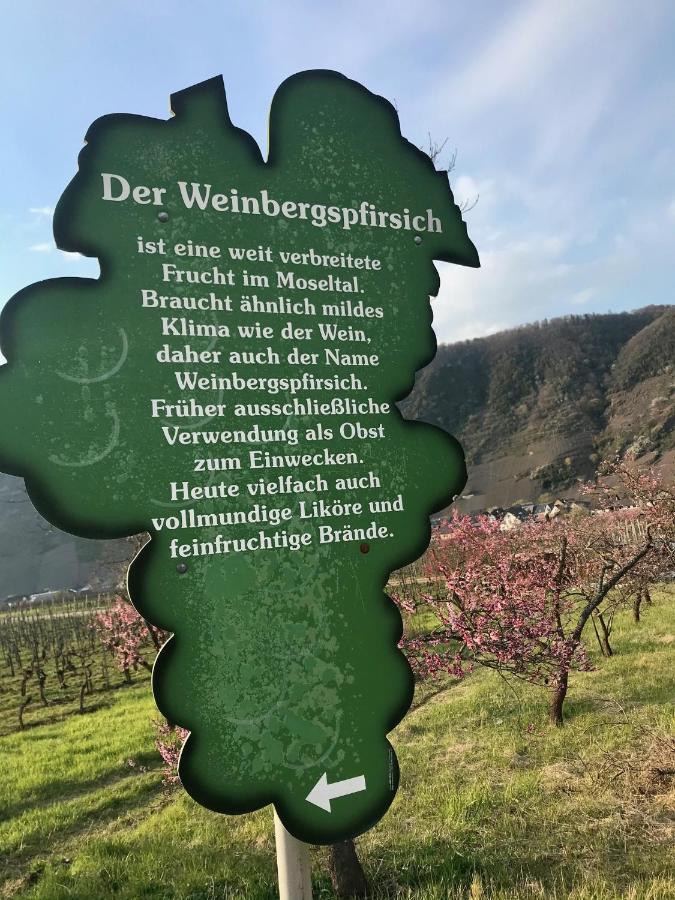 Residenz Moselzauber - Ferienwohnungen Mit Pool Landschaft Ernst Eksteriør billede