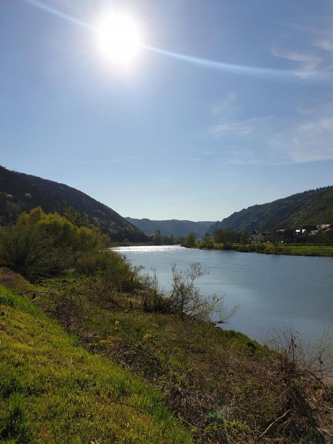 Residenz Moselzauber - Ferienwohnungen Mit Pool Landschaft Ernst Eksteriør billede
